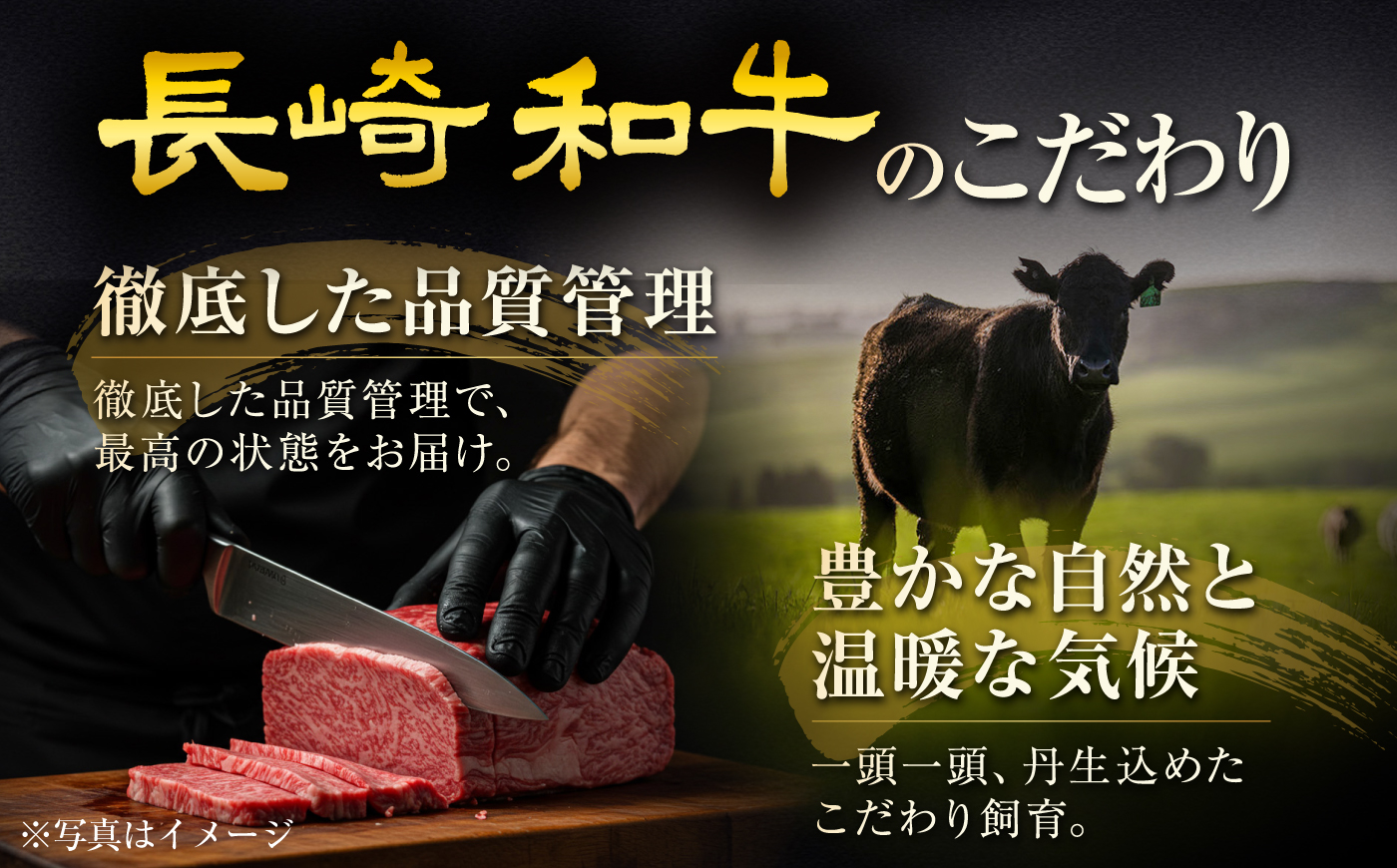 【12回定期便】長崎和牛ヒレステーキ 約200g×3枚/回 /ヒレ定期便 定期便 ステーキ すてーき ヒレ ひれ ヒレ ヒレステーキ ヒレ肉 和牛 牛肉 肉 牛 / 大村市 / まるしん商会 [ACCD063]