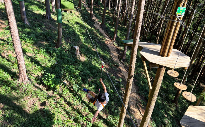 家族みんなで楽しめるコース！キャノピーコース ペアチケット (2名様) / 自然 アウトドア アクティビティ 体験 / 大村市 / フォレストアドベンチャー [ACCH001]