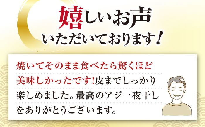 あじの開き 一夜干し 合計30枚 / アジ 鯵 あじ 干物 ひもの 一夜干し ひらき アジの開き / 大村市 / 株式会社ナガスイ[ACYQ020]