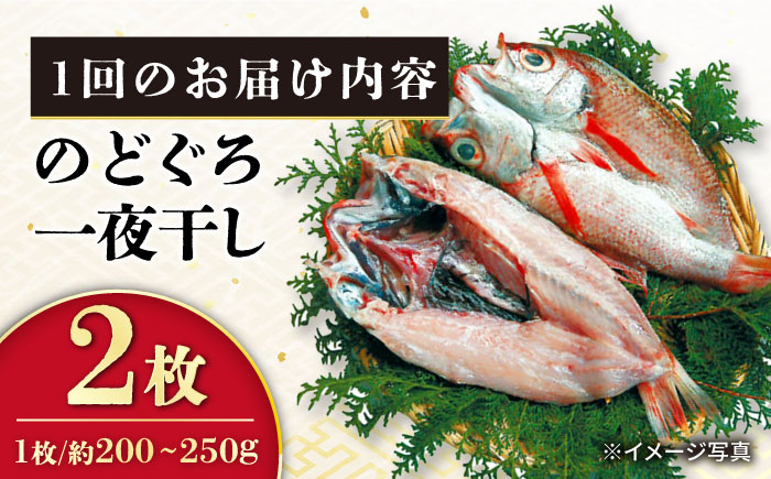 【6回定期便】赤むつ（のどぐろ）一夜干し 約200g～250g×2枚 / アカムツ 赤むつ 赤ムツ のどぐろ ノドグロ 一夜干し 高級魚  干物 ひもの / 大村市 / ナガスイ [ACYQ060]