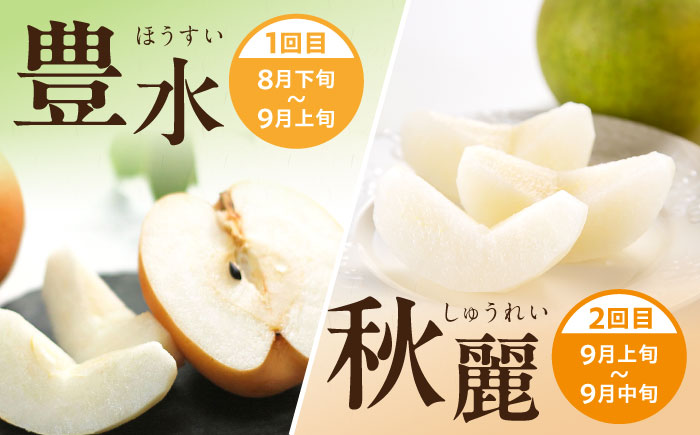 【3回定期便】 朝採り旬の梨 食べ比べ 約5kg/1回 梨定期便 フルーツ定期便 梨 ナシ なし フルーツ 果物 / 大村市 / 産直松吉 [ACZC010]