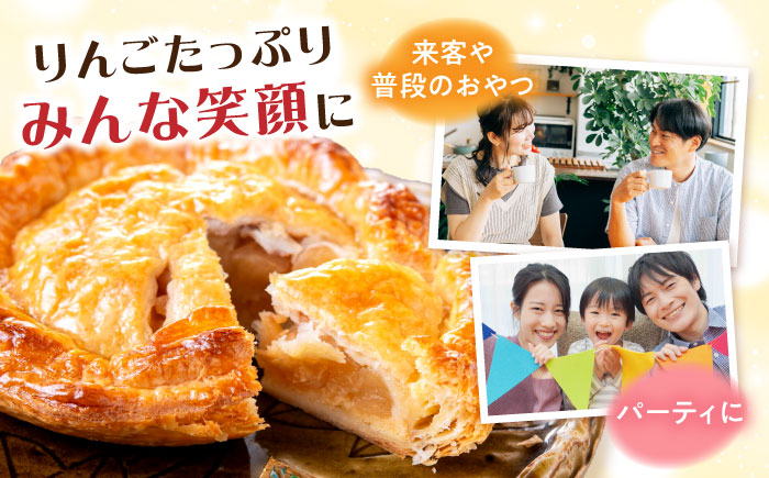 【年内発送】【到着日指定必須】ミニ アップルパイ 直径18cm 1ホール りんご パイ 洋菓子 スイーツ 大村市 大又農園野の実 [ACZO002]