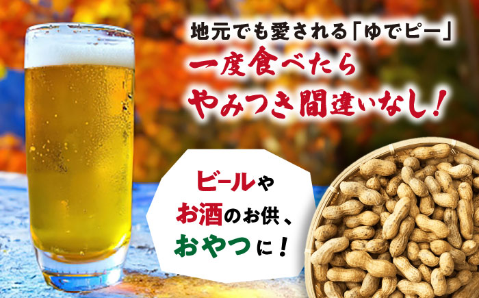 【冷凍保存3か月可】塩ゆで落花生 合計750g（250g×3袋） / ゆでぴー 落花生 ピーナッツ ナッツ おつまみ おやつ / 大村市 / 浦川豆店[ACZR001]
