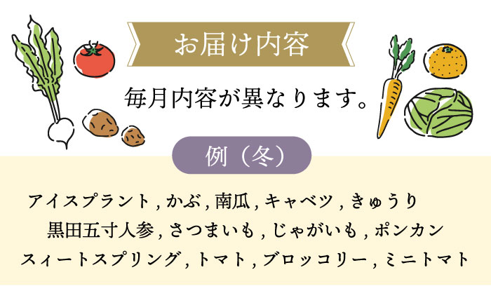 【12回定期便】野菜果物定期便コース / 野菜 フルーツ 果物 定期便 旬 / 大村市 / おおむら夢ファームシュシュ[ACAA092]