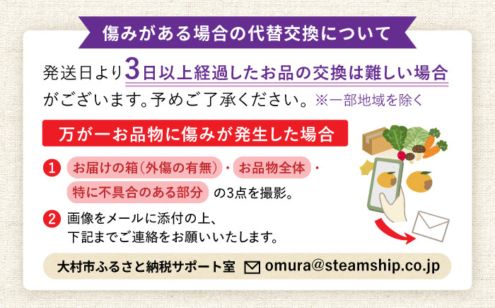 【2026年7月上旬頃より順次発送予定】生ブルーベリー 1kg（250g×4袋）/ ベリー べりー ブルーベリー ぶるーべりー 生 小分け 果物 くだもの フルーツ ふるーつ / 大村市 / おおむら夢ファームシュシュ[ACAA005]