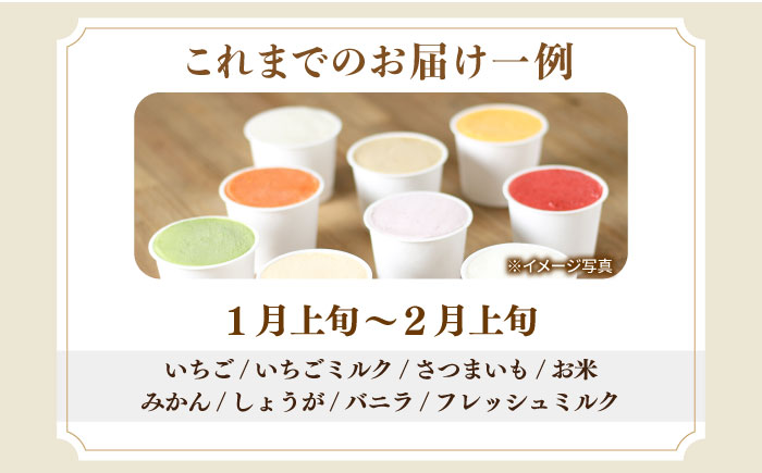 【年内発送】シュシュの季節のジェラート8個セット / アイス あいす アイスクリーム あいすくりーむ ジェラート じぇらーと スイーツ すいーつ / 大村市 / おおむら夢ファームシュシュ[ACAA010]