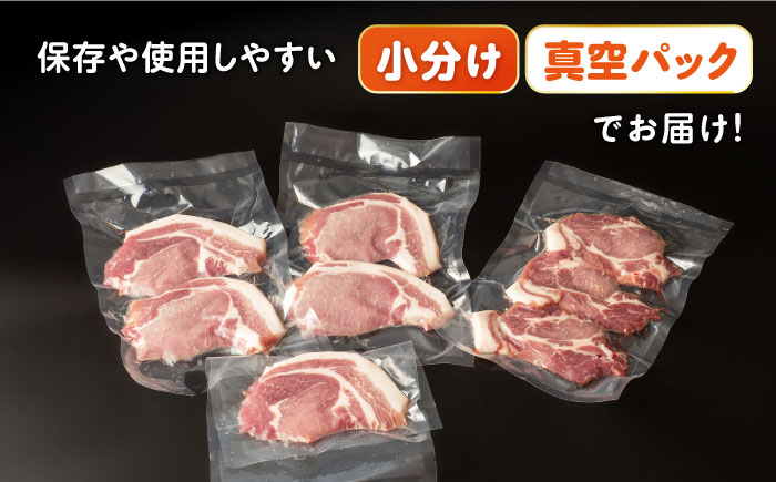 ナルちゃんファーム 豚ローストンカツセット 計1kg / 豚肉 豚ロース ロース ろーす とんかつ トンカツ 小分け / 大村市 / おおむら夢ファームシュシュ[ACAA016]