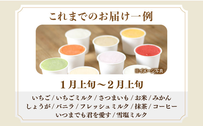 【年内発送】シュシュのスペシャルジェラート12個セット（定番/季節限定/スペシャル2種）/ アイス あいす アイスクリーム あいすくりーむ ジェラート じぇらーと スイーツ すいーつ / 大村市 / おおむら夢ファームシュシュ[ACAA038]