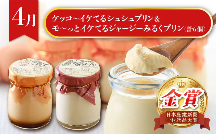 【4回定期便】いちごとスイーツコース（ジェラート・プリン・ジュレ・いちご） / スイーツ すいーつ スイーツ定期便 プリン ジュレ じゅれ ぷりん ジュース アイス あいす アイスクリーム あいすくりーむ ジェラート じぇらーと いちご イチゴ 苺 / 大村市 / おおむら夢ファームシュシュ[ACAA068]