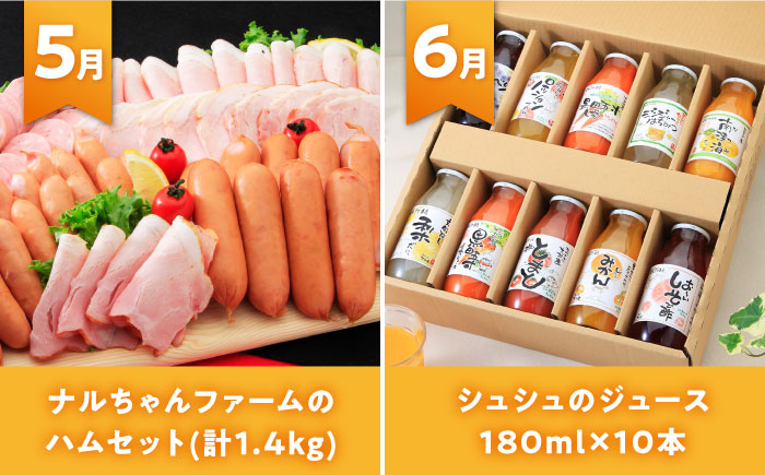 ※今後受付しない※【全12回定期便】シュシュ大人気コース復刻版１ 大村市 おおむら夢ファームシュシュ [ACAA093]