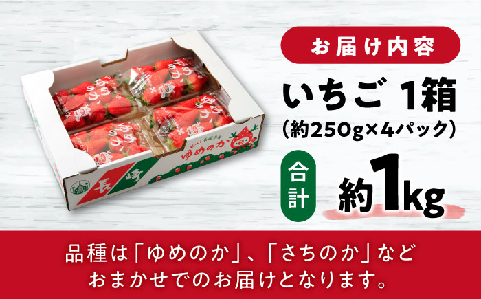 【2026年2月上旬より順次発送予定】いちご 1箱 (約250g×4P) 約1kg / いちご 苺 イチゴ フルーツ ふるーつ 果物 くだもの / 大村市 / おおむら夢ファームシュシュ[ACAA107]