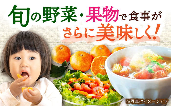 【5回定期便】旬の農産物 梨コース / 野菜 やさい 果物 くだもの フルーツ ふるーつ 産地直送 なし 梨 ナシ フルーツ定期便 / 大村市 / おおむら夢ファームシュシュ[ACAA121]