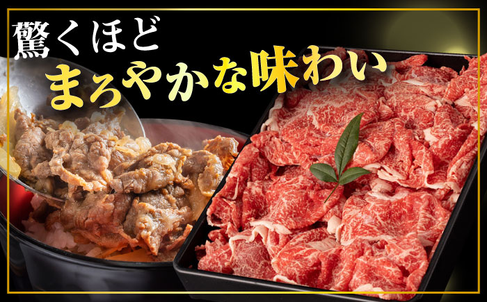 【6回定期便】長崎和牛 切り落とし 600g/月（総計3.6kg） / 牛肉 切り落とし 切りおとし きりおとし すき焼き 小分け / 大村市 / おおむら夢ファームシュシュ [ACAA223]