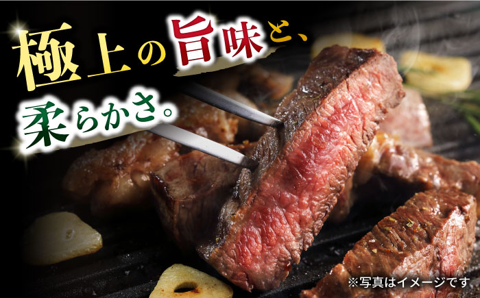 【6回定期便】長崎和牛 サーロインステーキ 約320g×3枚 / 牛肉 サーロインステーキ さーろいんすてーき サーロイン さーろいん ステーキ すてーき 小分け 牛肉定期便 / 大村市 / おおむら夢ファームシュシュ[ACAA255]