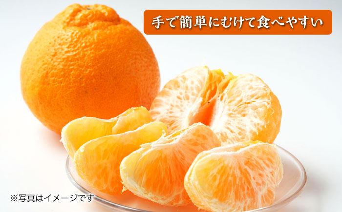 【2026年3月中旬より順次発送予定】不知火 5kg　/ しらぬい みかん 果実 柑橘 / 大村市 / おおむら夢ファームシュシュ [ACAA299]