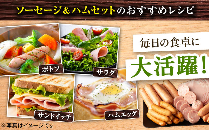 【12回定期便】ナルちゃんファーム ハムセット 5種 毎月2.1kg / ウインナー ソーセージ ハム / 大村市 / おおむら夢ファームシュシュ [ACAA355]