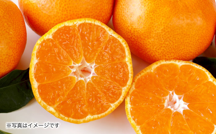 【2025年11月上旬より順次発送】みかん 7kg　/ みかん 果実 柑橘 / 大村市 / おおむら夢ファームシュシュ [ACAA378]