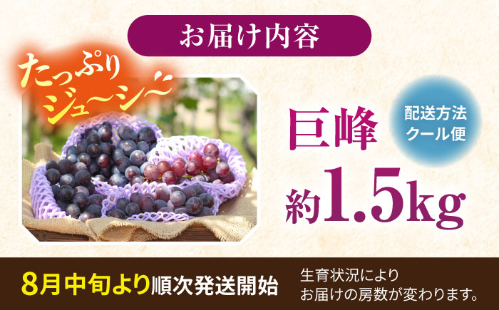【先行予約：2026年8月中旬より順次発送予定】 巨峰 種あり 約1.5kg / ぶどう 葡萄 フルーツ / 大村市 / おおむら夢ファームシュシュ [ACAA379]