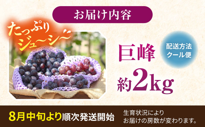 【先行予約：2026年8月中旬より順次発送予定】 巨峰 種あり 約2kg / ぶどう 葡萄 フルーツ / 大村市 / おおむら夢ファームシュシュ [ACAA380]