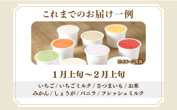 【3回定期便】シュシュ 季節のジェラート8個セット / アイス アイスクリーム ジェラート スイーツ /  大村市 / おおむら夢ファームシュシュ [ACAA417]