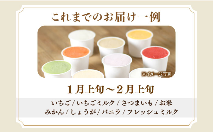 【12回定期便】シュシュ 季節のジェラート8個セット / アイス アイスクリーム ジェラート スイーツ /  大村市 / おおむら夢ファームシュシュ [ACAA419]