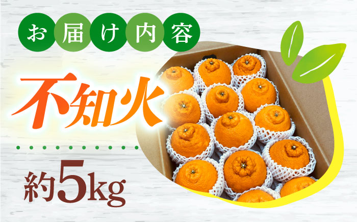 【2026年4月中旬発送開始】長崎県産 不知火 約5kg / 不知火 果物 フルーツ 柑橘 デコポン でこぽん 家庭用 柑橘 みかん 産地直送 旬 / 大村市 / かとりストアー[ACAN005]