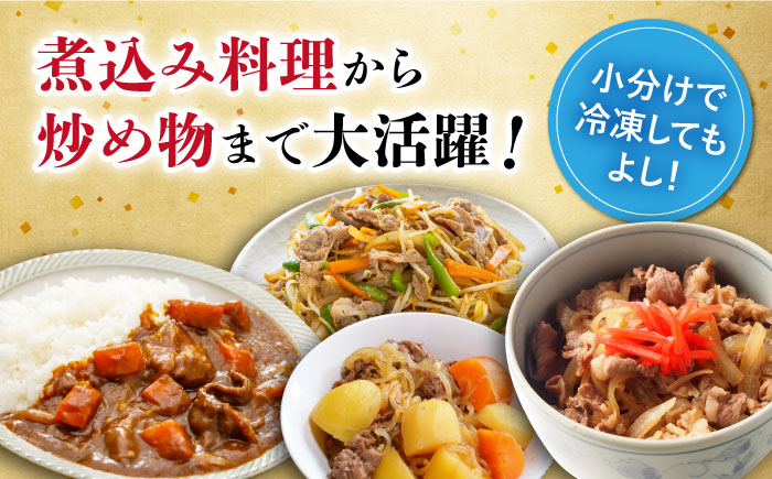 【ANA限定】 内閣総理大臣賞受賞！長崎和牛 切り落とし（500g） 大村市 かとりストアー [ACAN026]