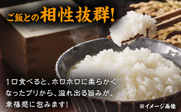 長崎県産ブリ切身 塩麹漬け 小分け 計16切れ （2切れ×8パック）/ ブリ ぶり 鰤 魚 切り身 切身 小分け 冷凍 小分けパック 簡単調理 長崎県産 魚 焼くだけ 和食  西京漬け 塩こうじ 塩麹 / 大村市 / かとりストアー[ACAN040]