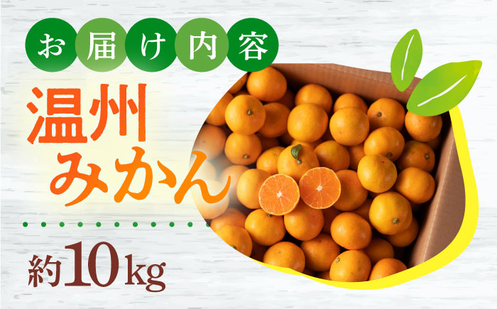 【12月中旬～1月配送】長崎県産 温州みかん (晩生系) 10kg / みかん 蜜柑 ミカン 5kg フルーツ ふるーつ 果物 くだもの  フルーツ 柑橘 / 大村市 かとりストアー [ACAN055]