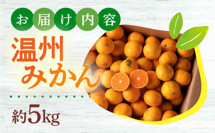 【12月中旬～1月配送】長崎県産 温州みかん (晩生系) 5kg / みかん 蜜柑 ミカン 5kg フルーツ ふるーつ 果物 くだもの  フルーツ 柑橘 /大村市 かとりストアー [ACAN056]