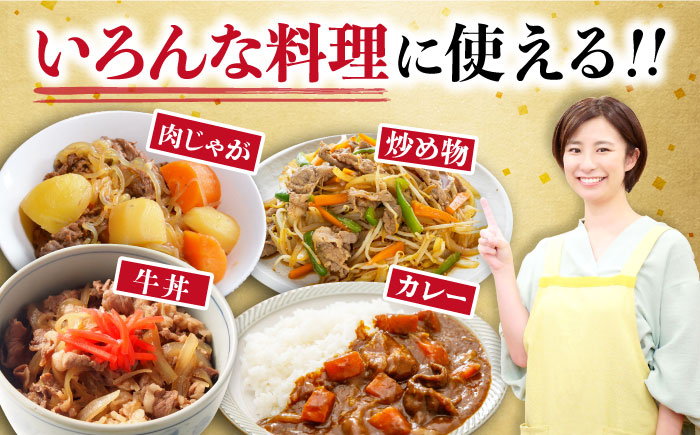 【3回定期便】 内閣総理大臣賞受賞！長崎和牛 切り落とし 400g 総計1.2kg 大村市 かとりストアー [ACAN069]