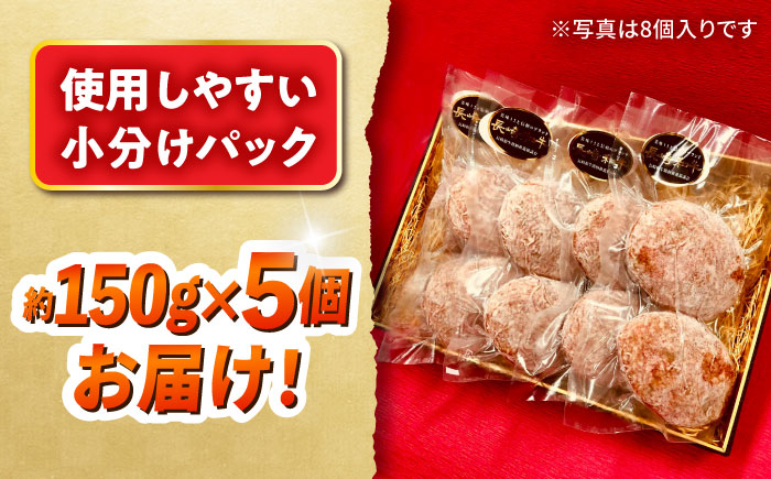 長崎和牛入りハンバーグ 約150g×5個 合計 約750g / 牛 牛肉 和牛 国産 長崎和牛 ハンバーグ 小分け 簡単調理 冷凍ハンバーグ 5個 / 大村市 / かとりストアー [ACAN122]