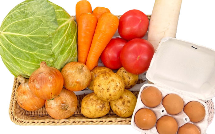 【全10回定期便】採れたてお野菜おまかせ（5～6種）・卵6個セット/ 野菜 やさい 野菜セット 野菜詰め合わせ 詰め合わせ セット たまご 卵 タマゴ 紅たまご こだまさんち / 大村市 / かとりストアー [ACAN131]