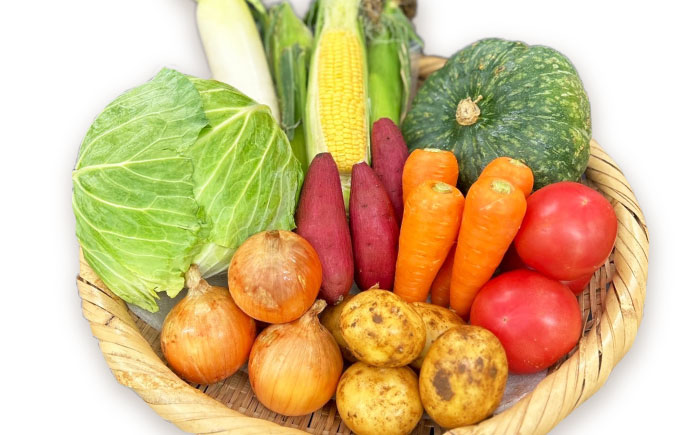 【全6回定期便】採れたてお野菜おまかせセット（8～10種）/ 野菜 やさい 野菜セット 野菜詰め合わせ 詰め合わせ セット / 大村市 / かとりストアー [ACAN134]