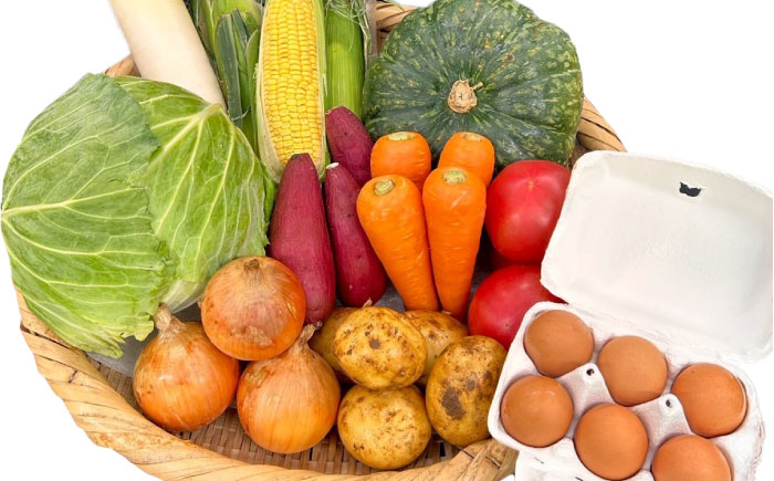 【全3回定期便】採れたてお野菜おまかせ（8～10種）・卵6個セット/ 野菜 やさい 野菜セット 野菜詰め合わせ 詰め合わせ セット たまご 卵 タマゴ 紅たまご こだまさんち / 大村市 / かとりストアー [ACAN136]