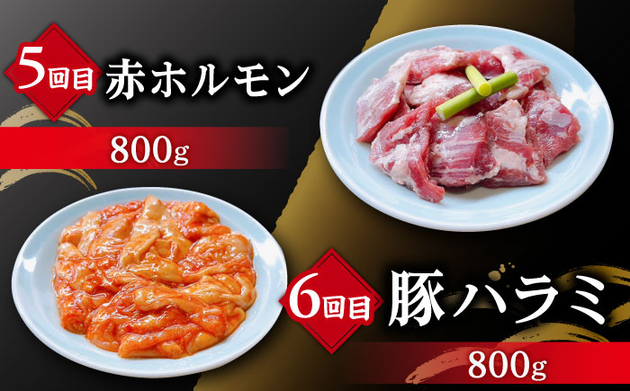 【全6回定期便】大村ホルモンセット計4.4kg 大村市 塩ホルモンろくめい [ACAO004]