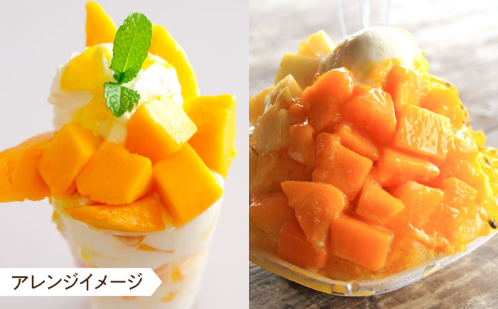 【糖度15度以上】おいしい 訳あり 冷凍大村産カットマンゴー 約600g (300g×2袋) 大村市 県央リサイクル開発/マンゴー 家庭用 訳あり 冷凍フルーツ 冷凍マンゴー カットマンゴー [ACBC002]