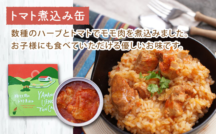 山のウエノ豚カレー・缶詰 詰め合わせ/ おつまみ レトルトカレー トマト煮/ 大村市 / 株式会社上野養豚 [ACBH006]