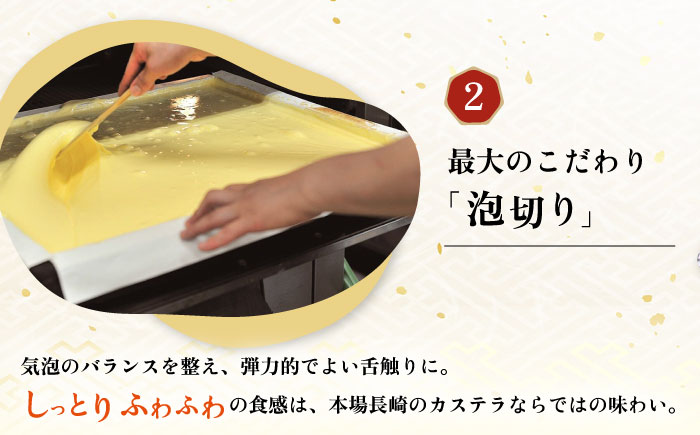 【年内発送】長崎カステラ 2号 （580g 10切）大村市 異人堂 [ACBM001]