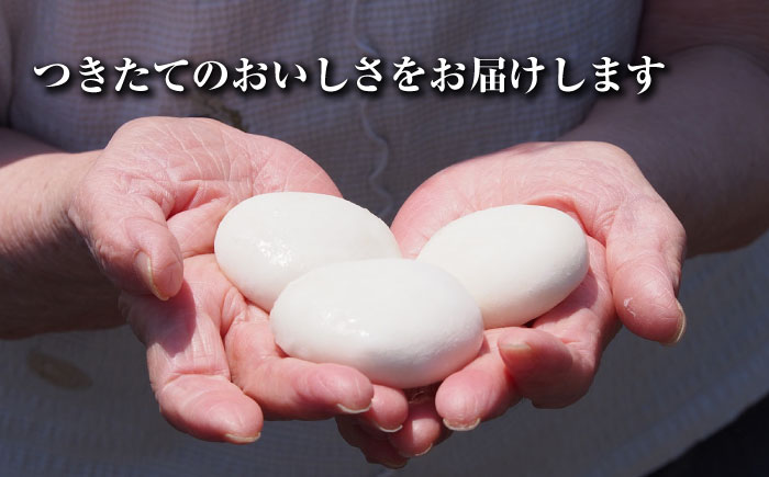 【大正創業の老舗菓子屋からお届け】 東島製菓の杵つき餅 500g×6袋 3kg 約75個 / パック おもち もち / 大村市 / 東島製菓 [ACBO003]