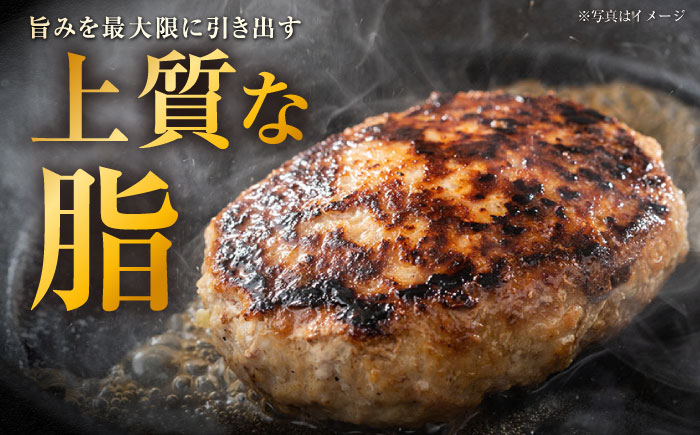【年内発送】長崎和牛 ハンバーグ 約200g×5個 / 和牛 ハンバーグ はんばーぐ ブランド肉 おかず 惣菜 お弁当 夕食 お肉 冷凍  / 大村市 / まるしん商会[ACCD001]