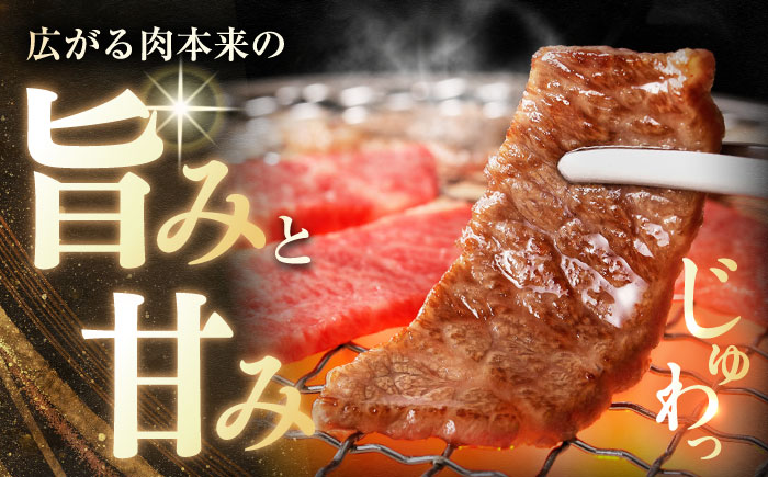 長崎和牛バラ霜降焼肉用 約500g / 牛肉 バラ ばら バラ肉 ばら肉 霜降り 霜降 焼肉 焼肉用 牛 ブランド牛 和牛 / 大村市 / まるしん商会[ACCD016]