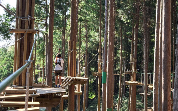 家族みんなで楽しめるコース！キャノピーコース ペアチケット (2名様) / 自然 アウトドア アクティビティ 体験 / 大村市 / フォレストアドベンチャー [ACCH001]