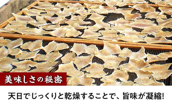 【3回定期便】長崎県産えいひれ 500ｇ / えいひれ エイヒレ 国産 おつまみ / 大村市 / 株式会社ナガスイ [ACYQ053]