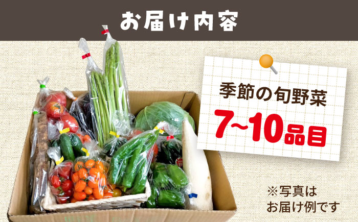 農家自慢 季節の野菜セット（7～10品目） / 詰め合わせ 野菜 やさい 野菜セット 野菜詰め合わせ 旬 春野菜 夏野菜 秋野菜 / 大村市 / 産直松吉[ACZC001]