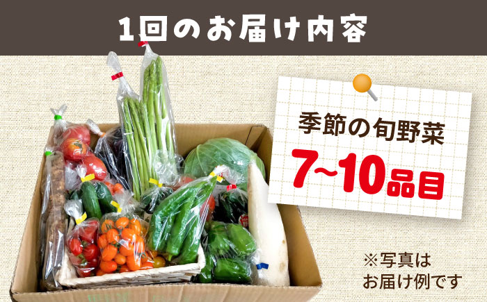 【 全6回定期便/偶数月】農家自慢 季節の野菜セット（7～10品目） / 詰め合わせ 野菜 やさい 野菜セット 野菜詰め合わせ 旬 春野菜 夏野菜 秋野菜 野菜定期便 / 大村市 /  産直松吉[ACZC002]