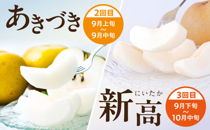 【3回定期便】 朝採り旬の梨 食べ比べ 約5kg/1回 梨定期便 フルーツ定期便 梨 ナシ なし フルーツ 果物 / 大村市 / 産直松吉 [ACZC010]