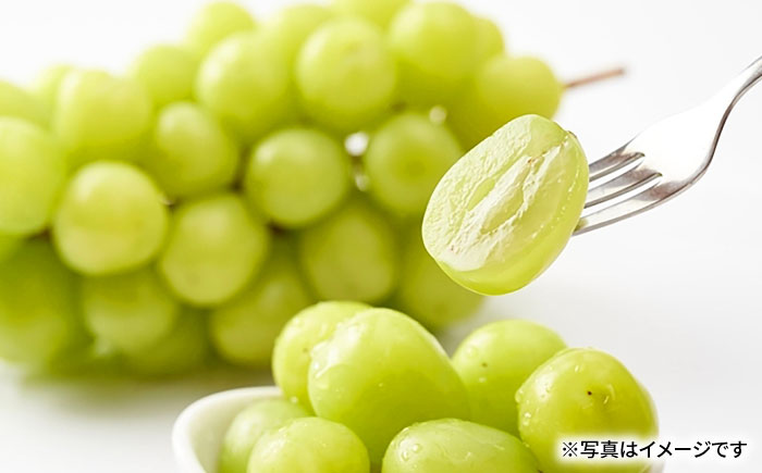 【先行受付】8月下旬より順次発送 シャインマスカット　約2kg 箱入り / シャインマスカット しゃいんますかっと ぶどう ブドウ 葡萄 フルーツ ふるーつ 果物 くだもの / 大村市 / 大又農園 [ACZO005]