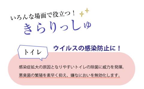 除菌剤 きらりっしゅ 500ml×6本  スプレータイプ 大村市/株式会社コムテック [ACBA003]