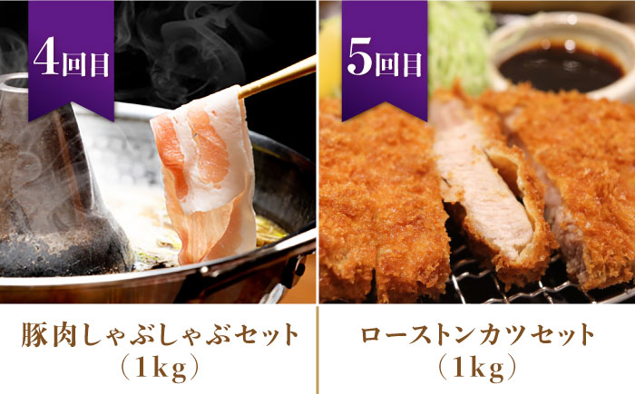 【5回お届け】 ナルちゃんファーム豚肉満喫コース 総量5.4kg（豚肉しゃぶしゃぶ・スライス・焼肉・とんかつ計4kg ハムセット1.4kg）/ 豚肉 ロースハム ハム はむ ウインナー ういんなー ソーセージ そーせーじ フランク 豚ロース ロース ろーす 豚モモ モモ もも 豚バラ バラ 焼肉 しゃぶしゃぶ スライス 豚肉定期便 / 大村市 / おおむら夢ファームシュシュ[ACAA072]